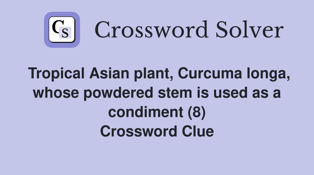 Tropical Asian plant, Curcuma longa, whose powdered stem is used as a